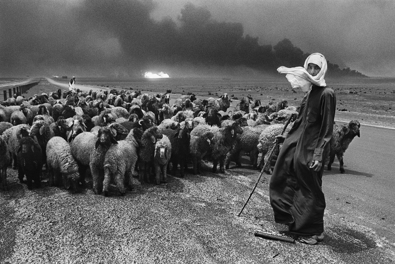 Pastores y rebaños-Kuwait-1991-