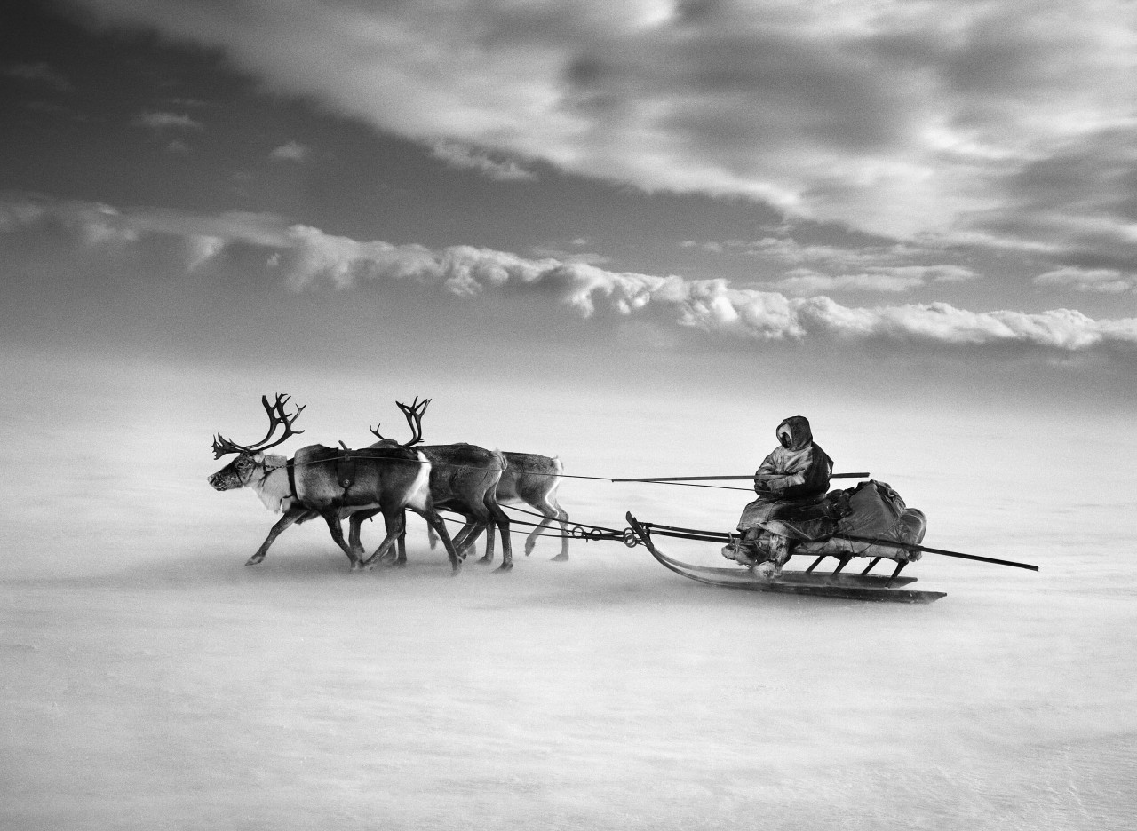 en-un-trineo-de-renos-a través-de-congelado-en-Siberia-Rusia-2011