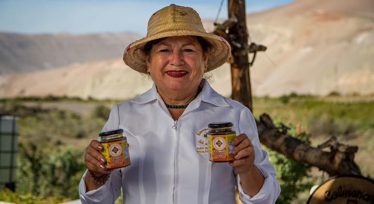 Miel en el desierto Chile